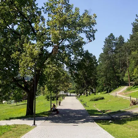 Park * توزلا
